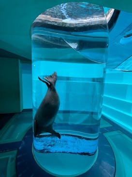 マリンワールド海の中道に投稿された画像（2023/2/3）