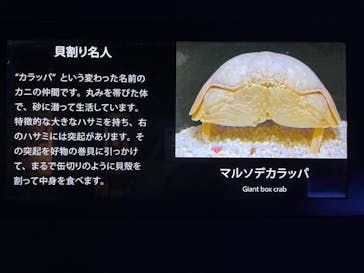 マリンワールド海の中道に投稿された画像（2023/2/3）