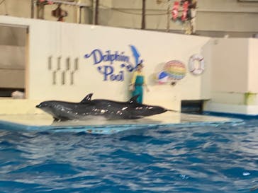 登別マリンパークニクスに投稿された画像（2023/2/4）