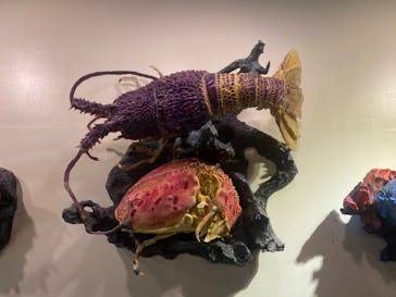 登別マリンパークニクスに投稿された画像（2023/2/4）