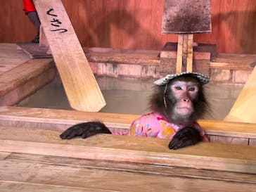 おさるの湯もみ処　おさ湯に投稿された画像（2023/2/4）