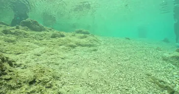 武藤潜水に投稿された画像（2023/2/4）