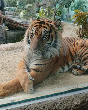 神戸どうぶつ王国に投稿された画像（2023/2/4）