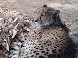 よこはま動物園ズーラシアに投稿された画像（2023/2/4）