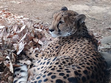 よこはま動物園ズーラシアに投稿された画像（2023/2/4）