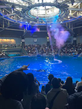 マクセル アクアパーク品川に投稿された画像（2023/2/4）