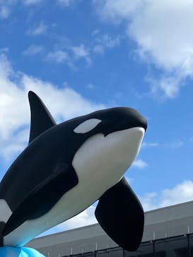 鴨川シーワールドに投稿された画像（2023/2/4）