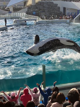 鴨川シーワールドに投稿された画像（2023/2/4）