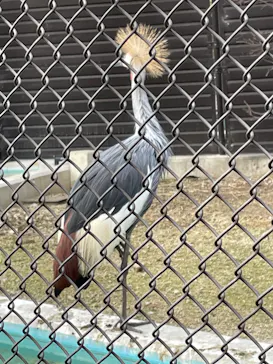 天王寺動物園に投稿された画像（2023/2/4）