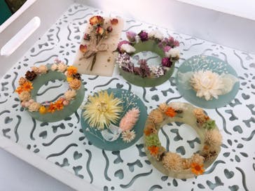 ずこうしつ〜sugamo〜に投稿された画像（2023/2/4）