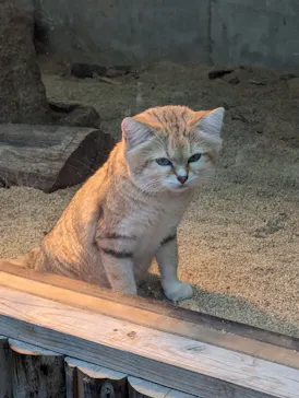 神戸どうぶつ王国に投稿された画像（2023/2/4）