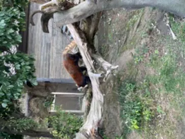 ひらかたパークに投稿された画像（2023/2/4）