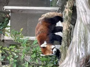 ひらかたパークに投稿された画像（2023/2/4）