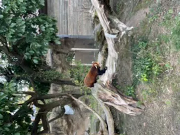 ひらかたパークに投稿された画像（2023/2/4）