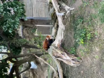 ひらかたパークに投稿された画像（2023/2/4）