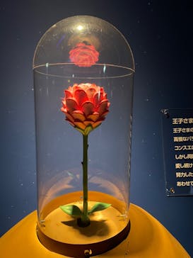 星の王子さまミュージアム 箱根サン=テグジュペリに投稿された画像（2023/2/4）