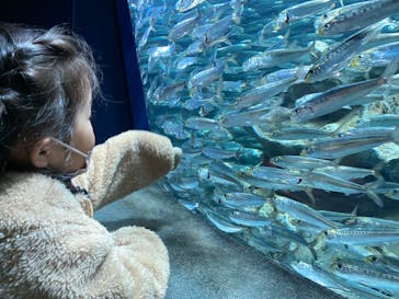 サンシャイン水族館に投稿された画像（2023/2/4）