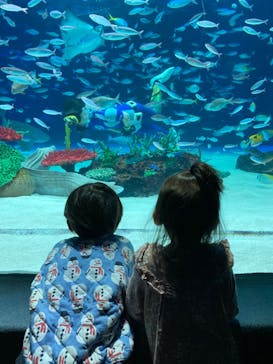 サンシャイン水族館に投稿された画像（2023/2/4）