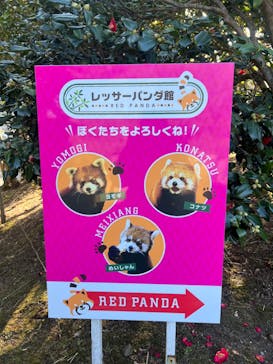 伊豆シャボテン動物公園に投稿された画像（2023/2/4）