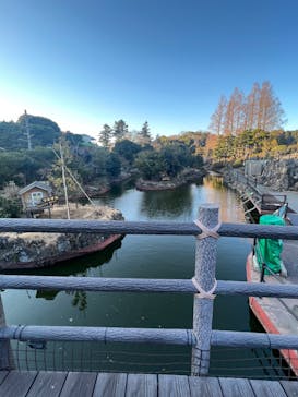 伊豆シャボテン動物公園に投稿された画像（2023/2/4）