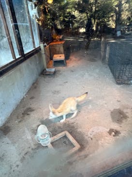 伊豆シャボテン動物公園に投稿された画像（2023/2/4）
