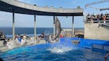 大分マリーンパレス水族館 「うみたまご」に投稿された画像（2023/2/4）