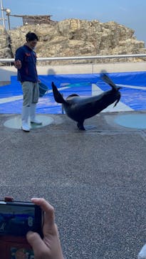 大分マリーンパレス水族館 「うみたまご」に投稿された画像（2023/2/4）