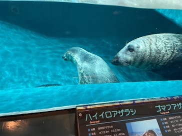 大分マリーンパレス水族館 「うみたまご」に投稿された画像（2023/2/4）