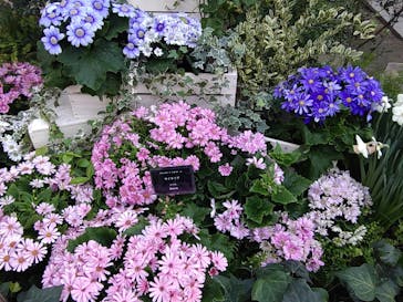 安城産業文化公園デンパークに投稿された画像（2023/2/4）