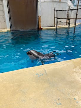 伊豆・三津シーパラダイスに投稿された画像（2023/2/4）