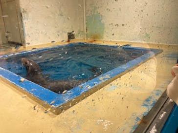 伊豆・三津シーパラダイスに投稿された画像（2023/2/4）