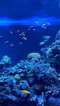 サンシャイン水族館に投稿された画像（2023/2/4）