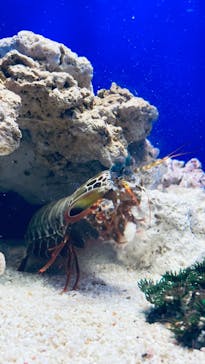 サンシャイン水族館に投稿された画像（2023/2/4）