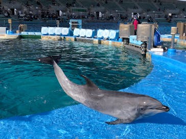 名古屋港水族館に投稿された画像（2023/2/4）