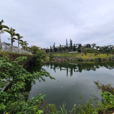美らヤシパークオキナワ・東南植物楽園に投稿された画像（2023/2/4）