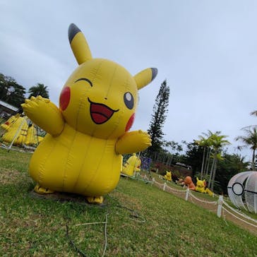 美らヤシパークオキナワ・東南植物楽園に投稿された画像（2023/2/4）