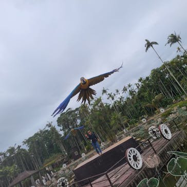 美らヤシパークオキナワ・東南植物楽園に投稿された画像（2023/2/4）