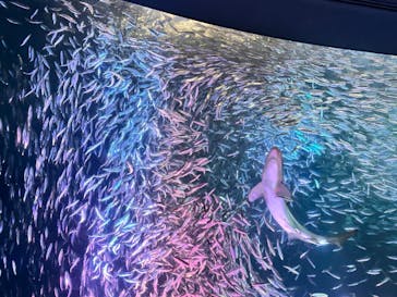 名古屋港水族館に投稿された画像（2023/2/4）
