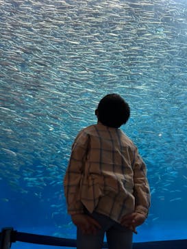 名古屋港水族館に投稿された画像（2023/2/4）