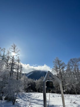 白樺高原国際スキー場に投稿された画像（2023/2/4）