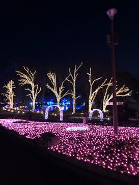 大阪府立花の文化園に投稿された画像（2023/2/4）