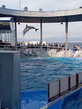 大分マリーンパレス水族館 「うみたまご」に投稿された画像（2023/2/4）