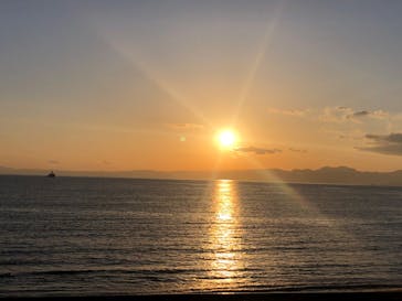 新江ノ島水族館に投稿された画像（2023/2/4）