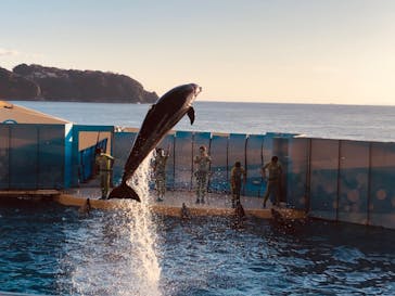 新江ノ島水族館に投稿された画像（2023/2/4）