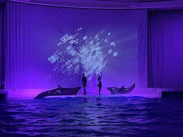 アクアワールド茨城県大洗水族館に投稿された画像（2023/2/4）