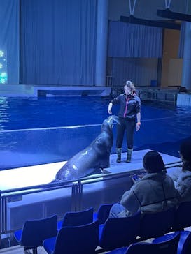 アクアワールド茨城県大洗水族館に投稿された画像（2023/2/4）