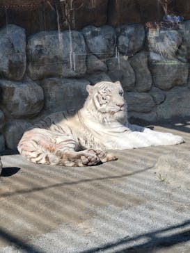 東武動物公園に投稿された画像（2023/2/4）