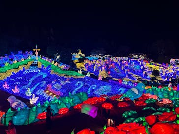 伊豆ぐらんぱる公園に投稿された画像（2023/2/4）