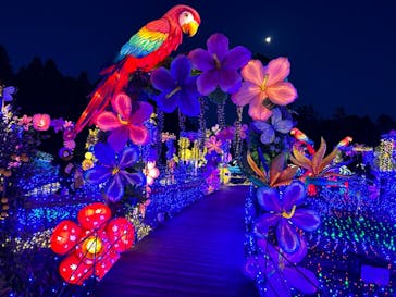 伊豆ぐらんぱる公園に投稿された画像（2023/2/4）