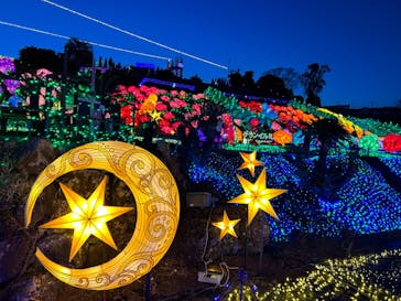 伊豆ぐらんぱる公園に投稿された画像（2023/2/4）